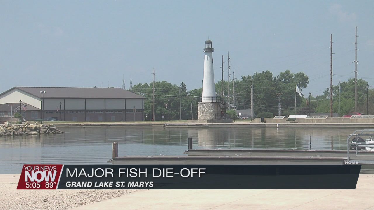 Major fish die-off at Grand Lake St Marys